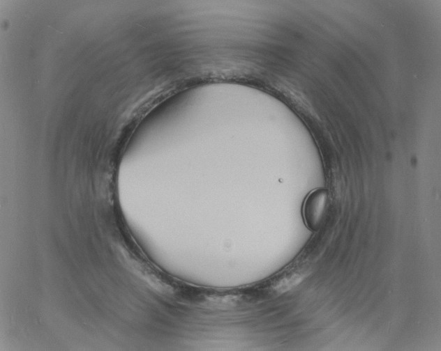 X0000060770450200512082037