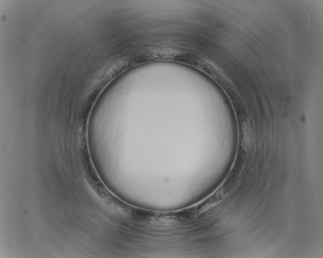 X0000060770451200512082038