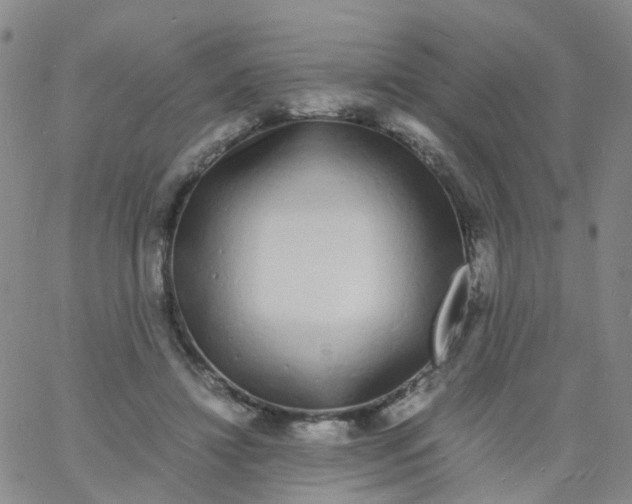 X0000060770452200512082038