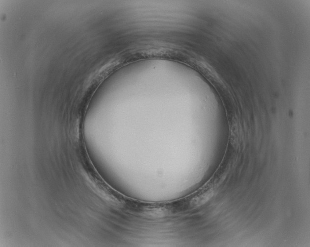 X0000060770454200512082038