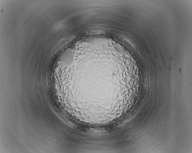 X0000060770455200512082038