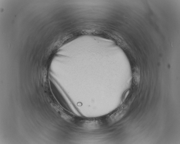 X0000060770458200512082038