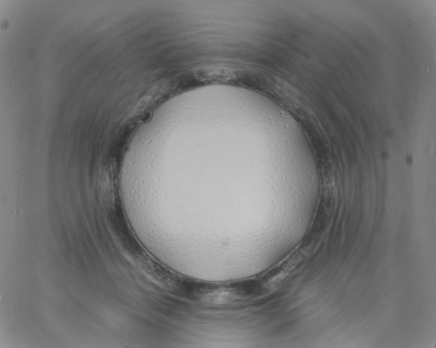 X0000060770460200512082038