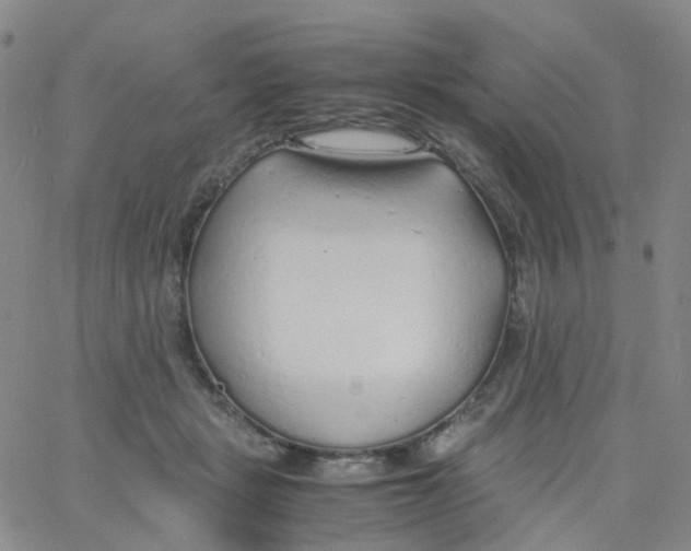 X0000060770461200512082038