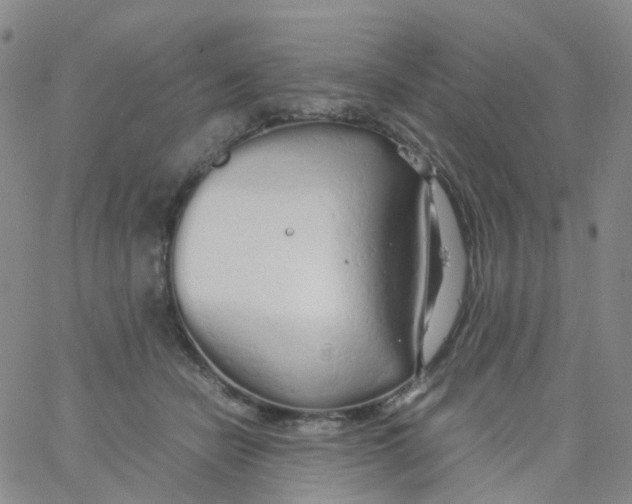 X0000060770462200512082038