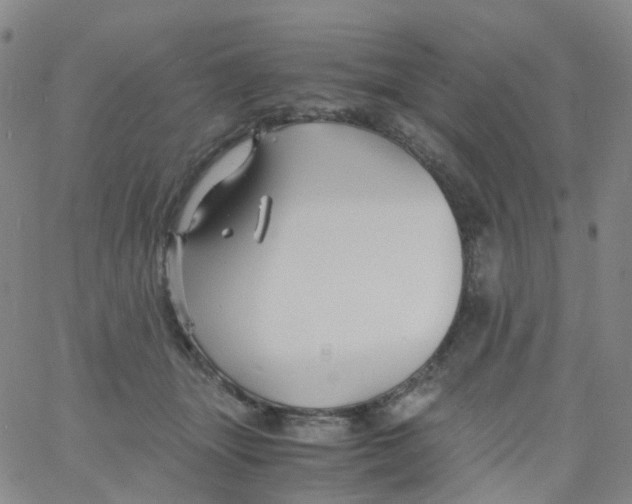 X0000060770463200512082038