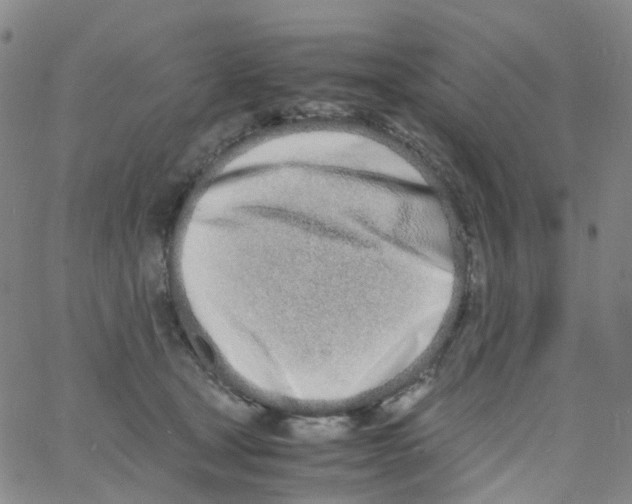 X0000060770465200512082038