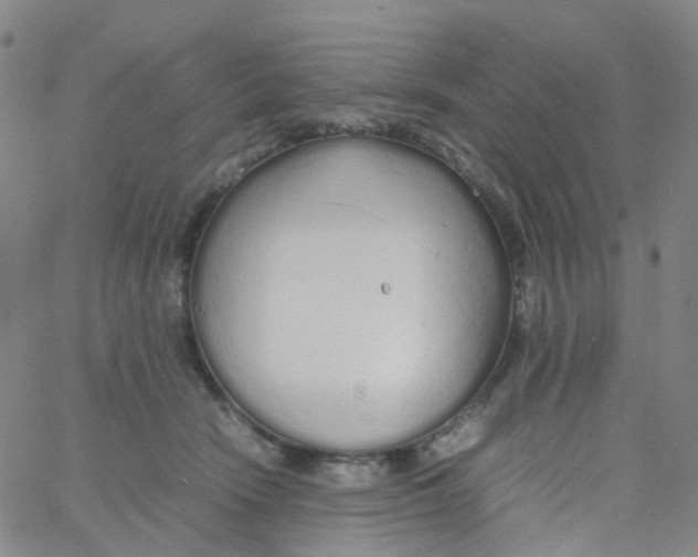 X0000060770466200512082038