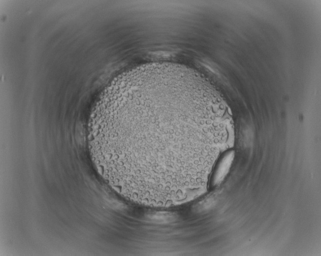 X0000060770467200512082038