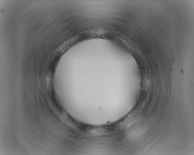 X0000060770468200512082038