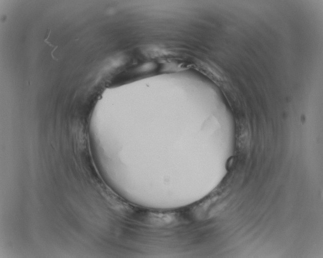 X0000060770469200512082038