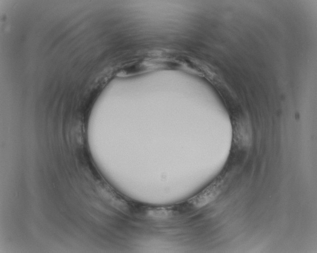 X0000060770470200512082038