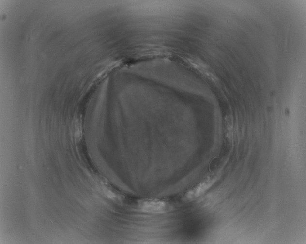 X0000060770471200512082038