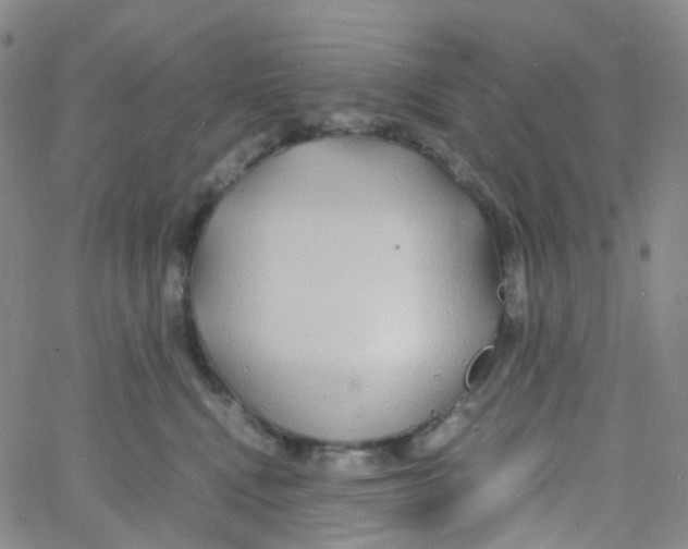 X0000060770472200512082038