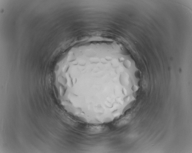 X0000060770473200512082038