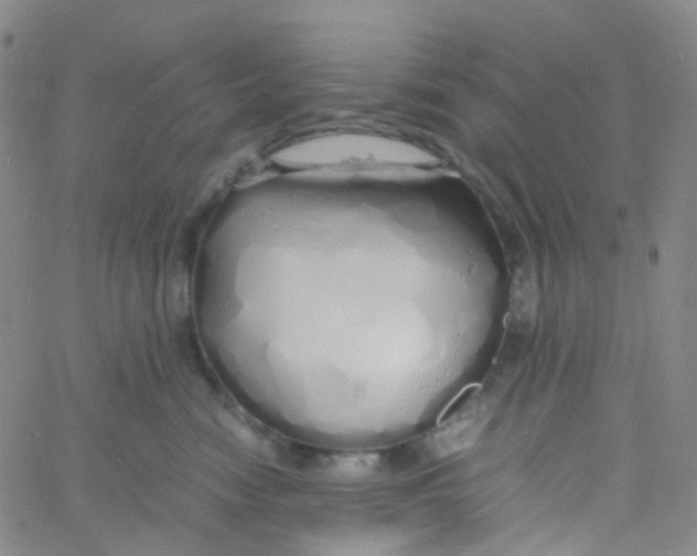 X0000060770474200512082038