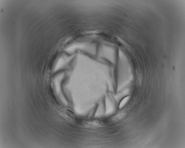 X0000060770475200512082038