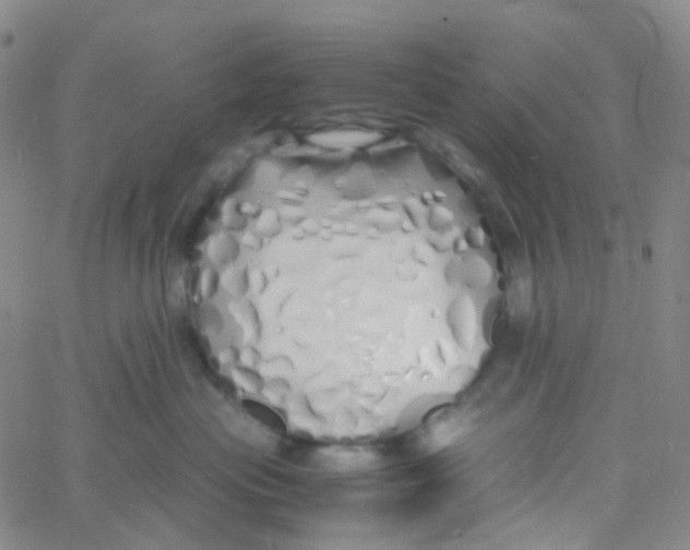 X0000060770477200512082038