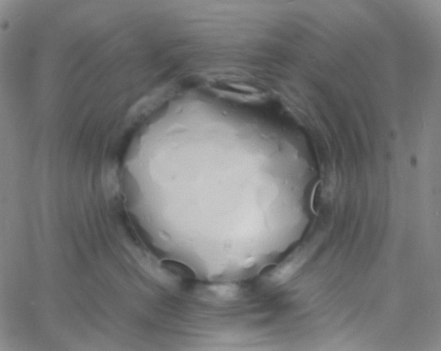 X0000060770478200512082038