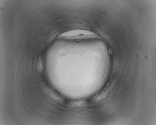 X0000060770479200512082038