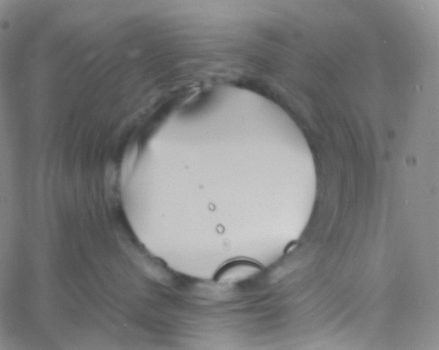 X0000060770480200512082038