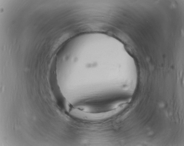 X0000060770481200512082037