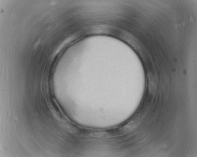 X0000060770482200512082037