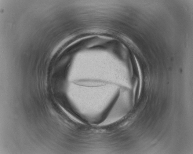 X0000060770484200512082037