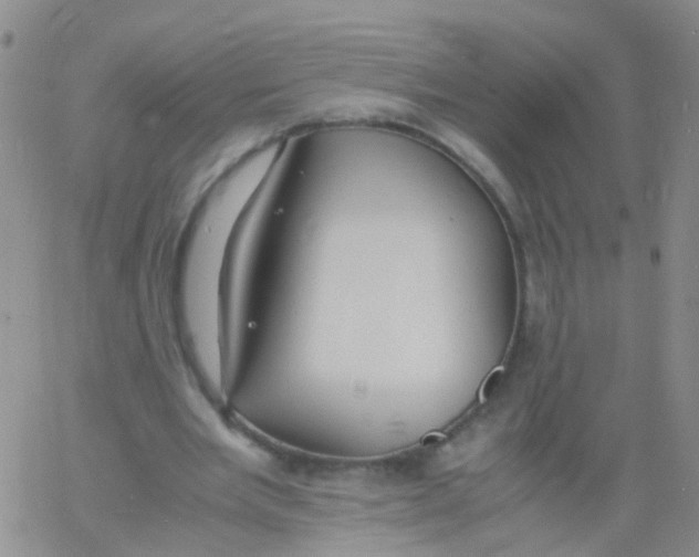 X0000060770485200512082037