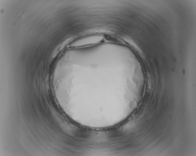 X0000060770486200512082037