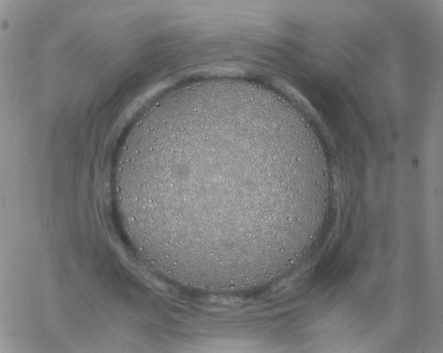 X0000060770487200512082037