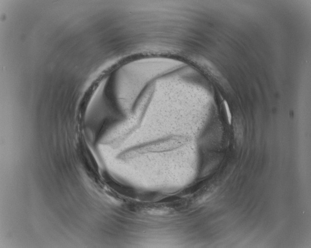 X0000060770488200512082037