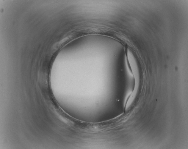 X0000060770489200512082037