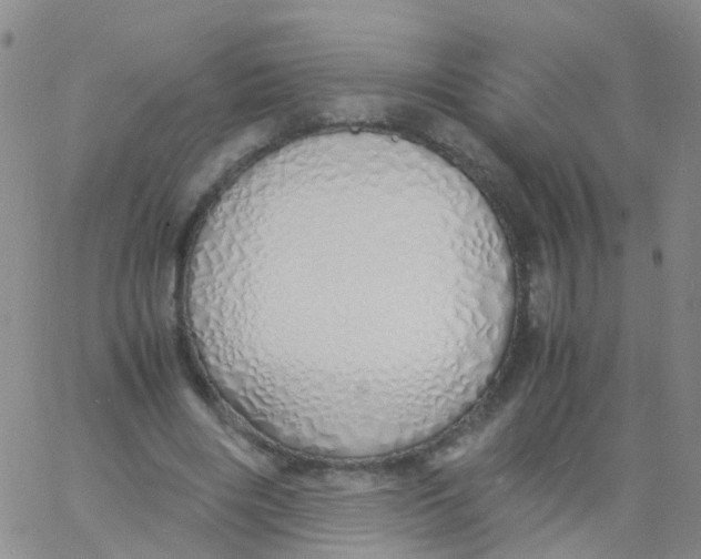 X0000060770490200512082037