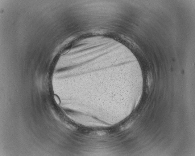 X0000060770492200512082037