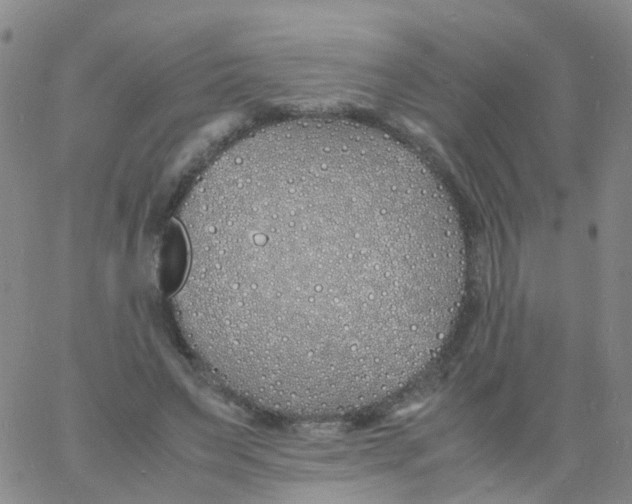 X0000060770495200512082037