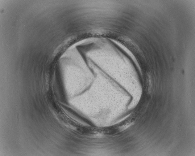 X0000060770496200512082037