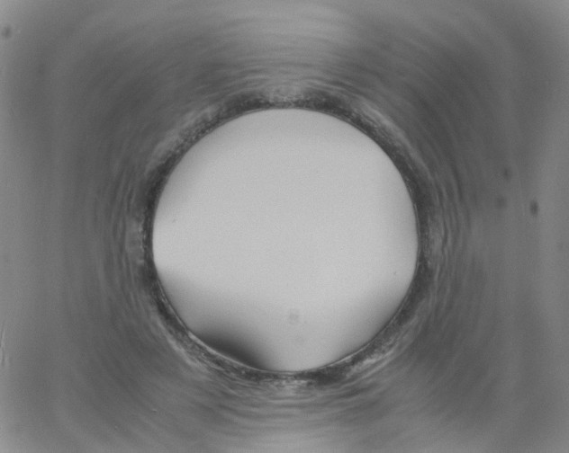 X0000060770497200512082037