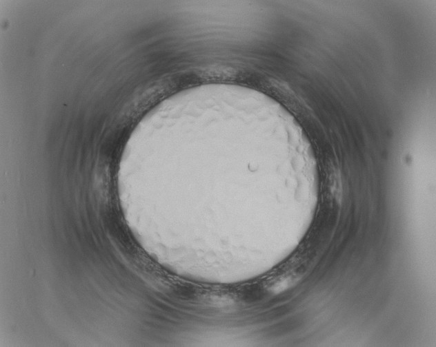 X0000060770498200512082037