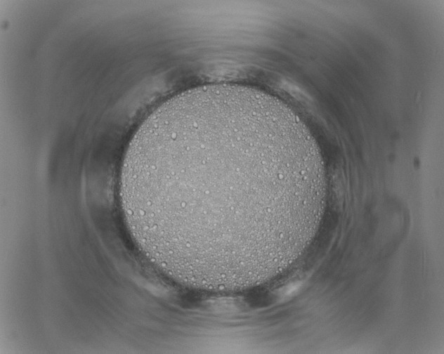 X0000060770499200512082037