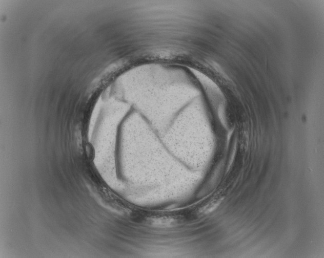 X0000060770500200512082037