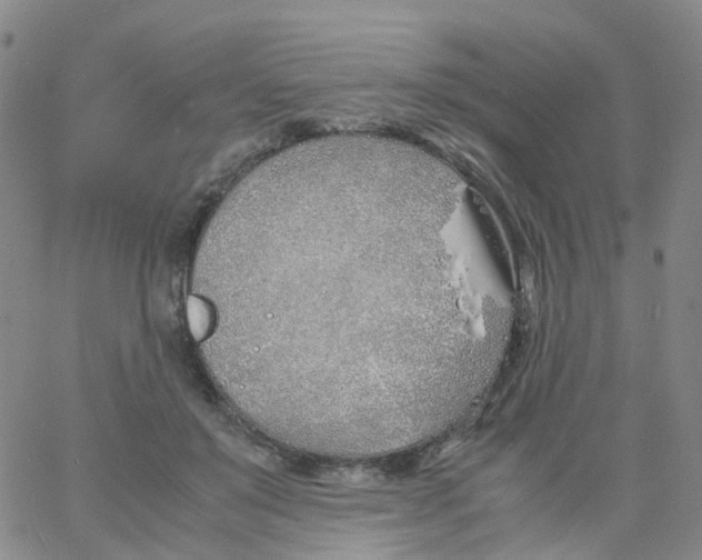 X0000060770503200512082037