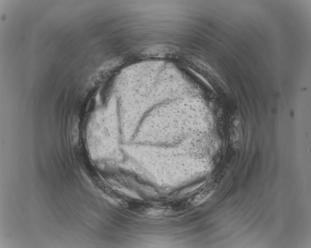 X0000060770504200512082037