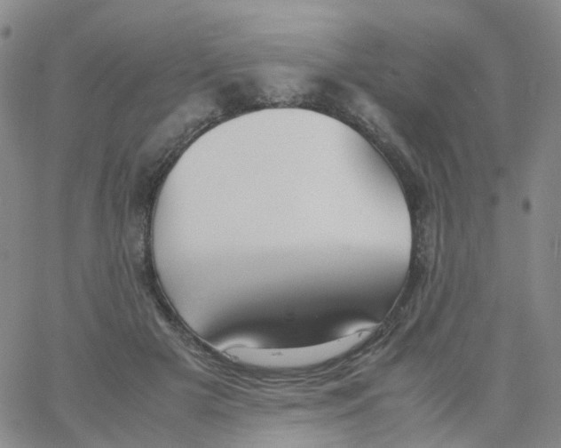 X0000060770505200512082037