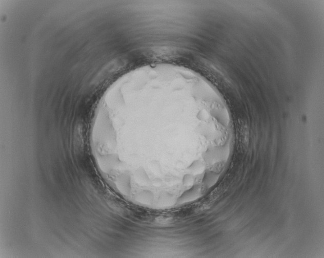 X0000060770506200512082037