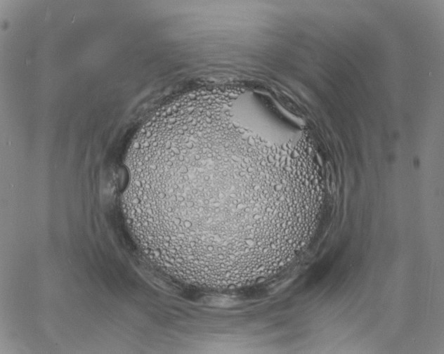 X0000060770507200512082037