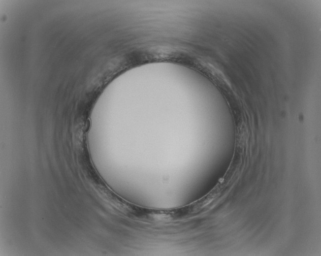 X0000060770509200512082037