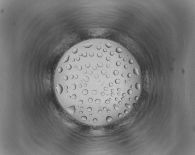 X0000060770510200512082037