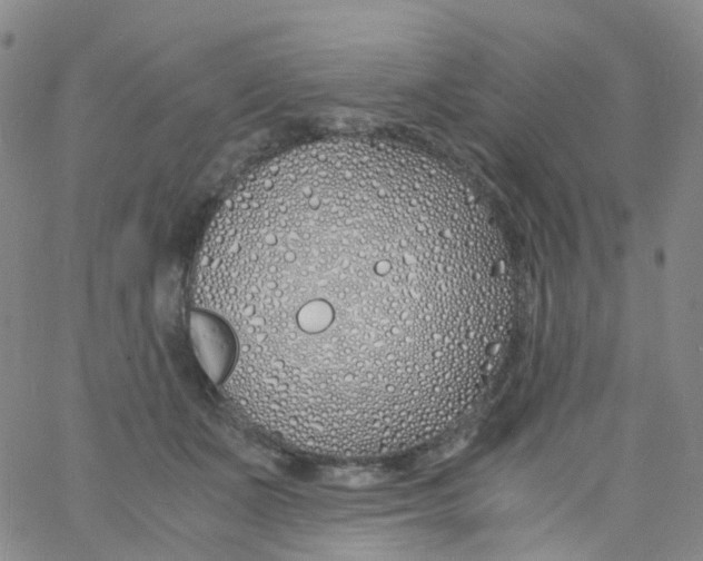 X0000060770511200512082037