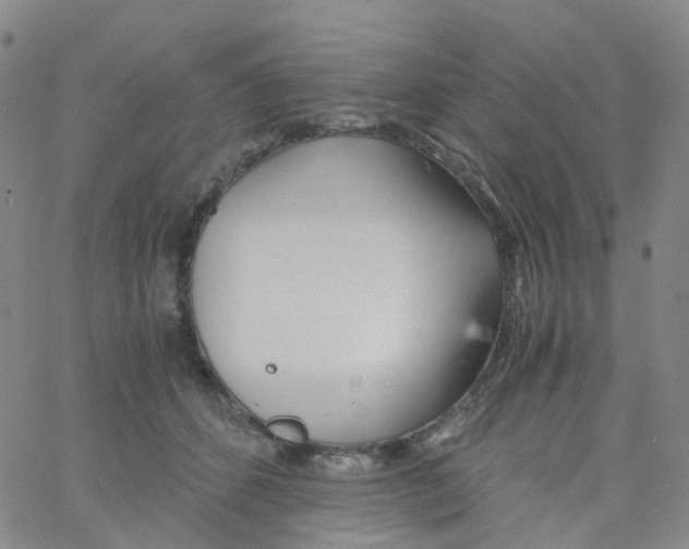 X0000060770512200512082037